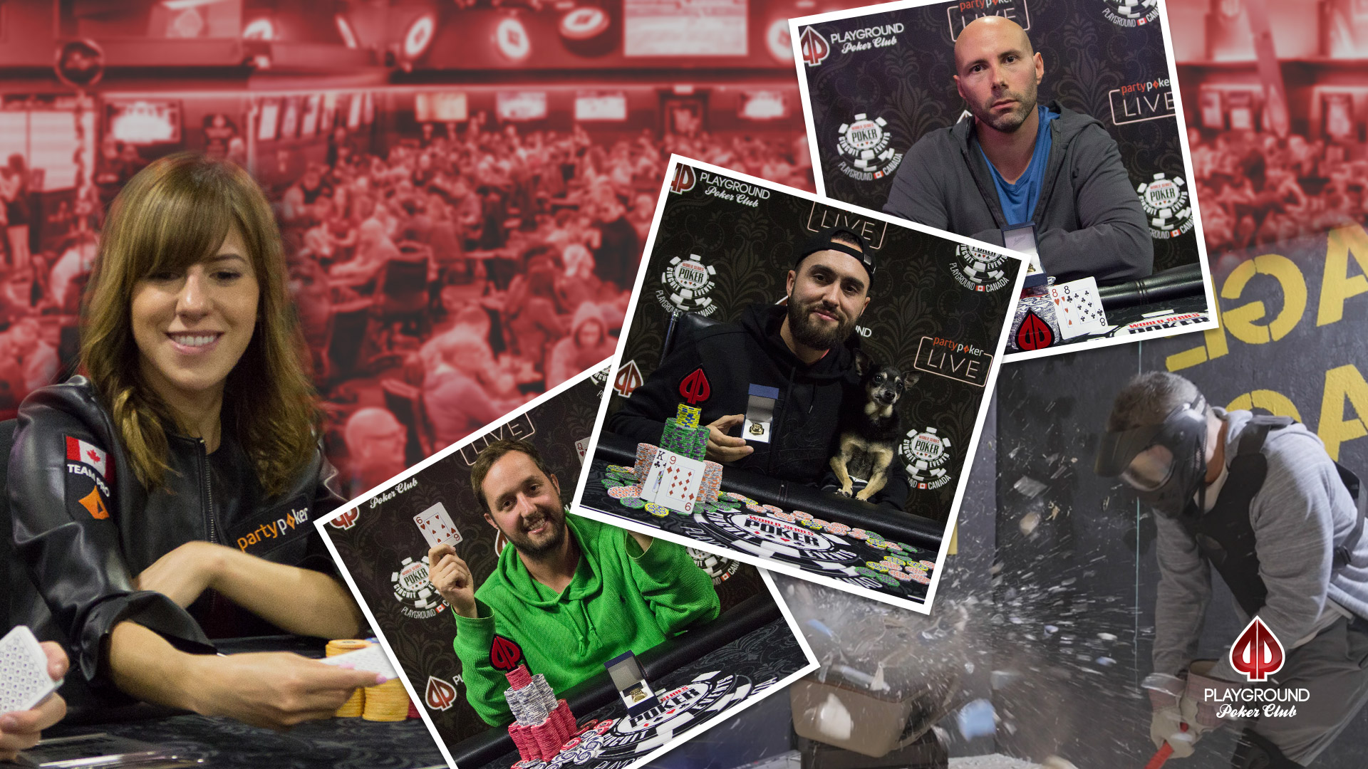 The WSOP-C Playground: A Success Story